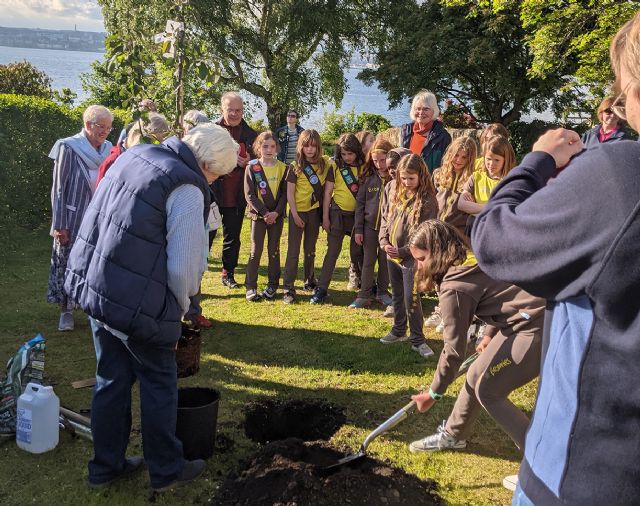 2022 Coronation Garden Brownies Tree Planting Jubilee